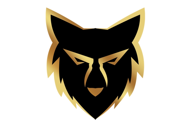 exp agent wolf pack logo